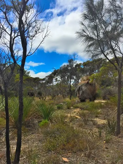 Fourth view of Homely land listing, LOT 104 Para Avenue, Cape Jervis SA 5204