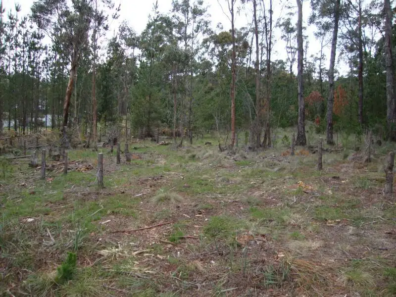 Main view of Homely land listing, Lot 2 Ross Creek-Haddon Road, Ross Creek VIC 3351