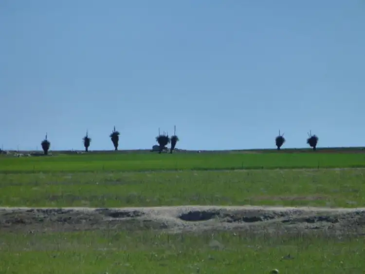 Second view of Homely land listing, Lot 12552 Billacabilla Road, Quairading WA 6383