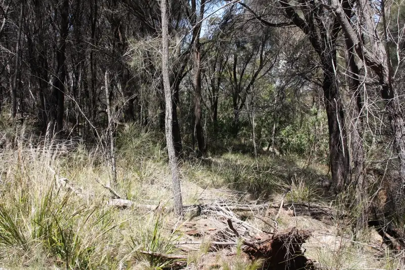 Main view of Homely land listing, Lot 11 Rubicon Rise Subdivision, Port Sorell Main Road, Port Sorell TAS 7307