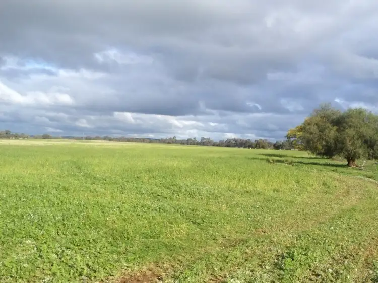 82 East Millwood Road, Wagga Wagga NSW 2650