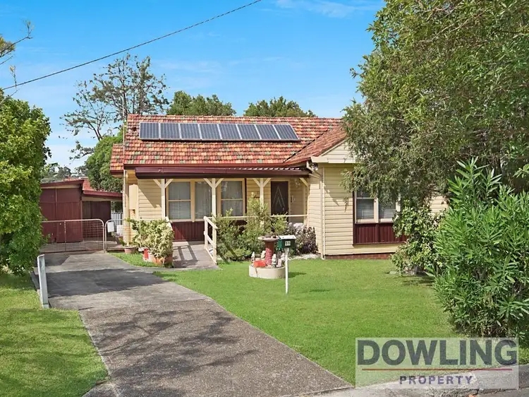 11 Chapman Street, Shortland NSW 2307