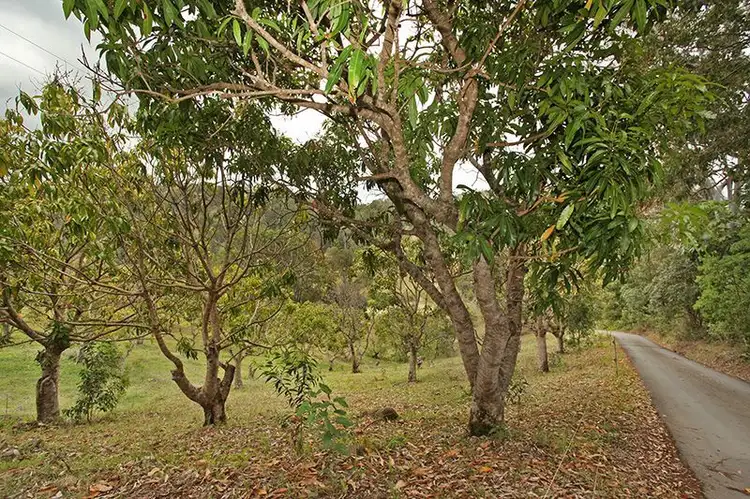 Seventh view of Homely house listing, 397 Gold Creek Road, Eerwah Vale QLD 4562