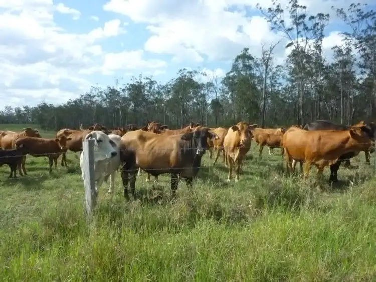 Fourth view of Homely rural property listing, 105 RAILWAY ROAD, Booyal QLD 4671