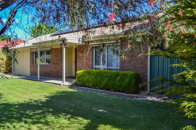 Second view of Homely house listing, 12 Victoria Street, Mansfield VIC 3722