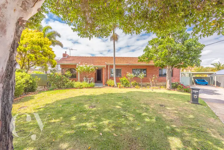 8 Battrass Place, Innaloo WA 6018