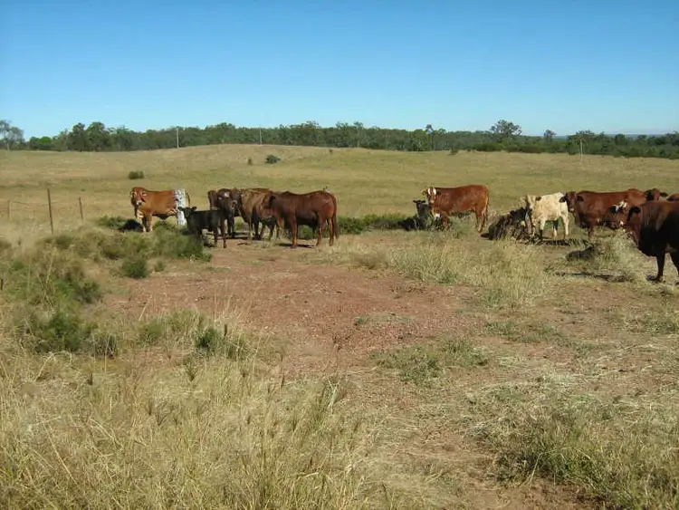 Second view of Homely rural property listing, 457 Ten Chain Road, Kinleymore QLD 4613