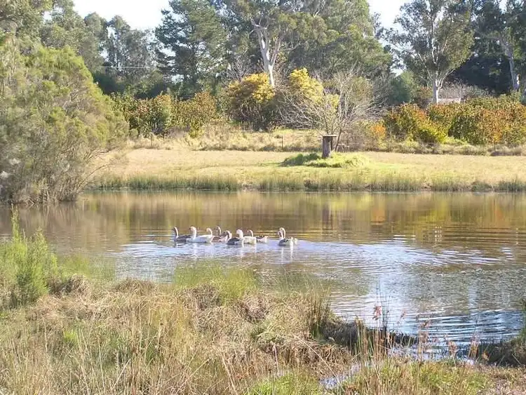 Seventh view of Homely rural property listing, 42 Old Berrara Road, Sussex Inlet NSW 2540