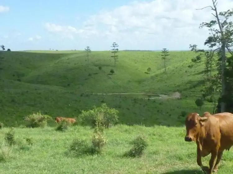 Fourth view of Homely rural property listing, 365 MINGO ROAD, GOOD NIGHT, Gin Gin QLD 4671