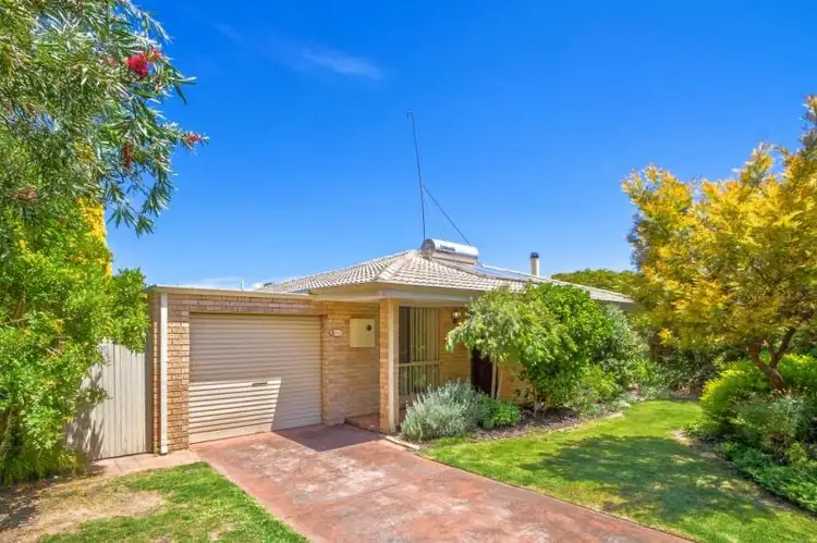 6 Orchid Court, Geographe WA 6280