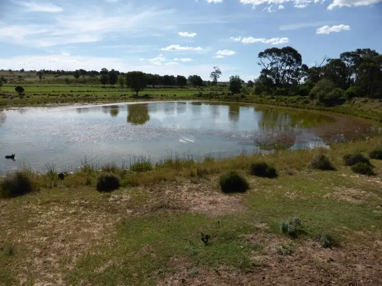 Sixth view of Homely rural property listing, 899 Jinghi Gully Road, Jandowae Qld 4410, Jandowae QLD 4410