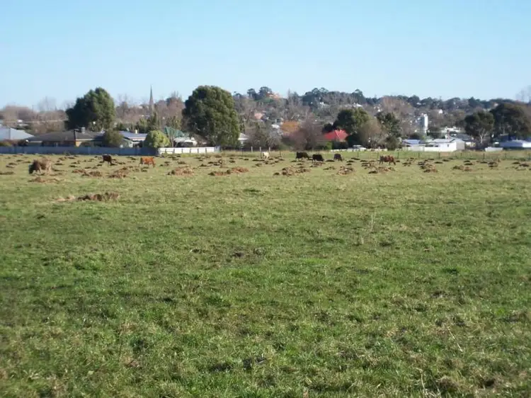 LOT 6 & 7 McCrae Street, Terang VIC 3264