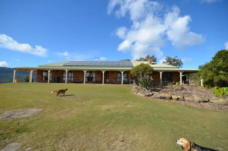 Main view of Homely rural property listing, 3083 Beaudesrt-Nerang Road, Biddaddaba QLD 4275