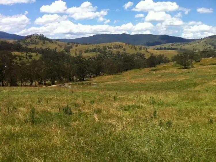 Seventh view of Homely rural property listing, The Knob Kings Road, Dargo VIC 3862