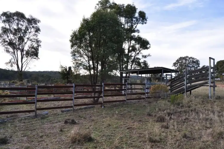 Fifth view of Homely rural property listing, 01062 Blue Springs Road, Gulgong NSW 2852
