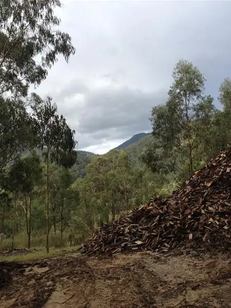 Fourth view of Homely land listing, 1809 Monaro Highway, Noorinbee VIC 3890