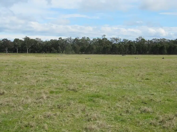 Third view of Homely rural property listing, CA21 Boundary Road, Briagolong VIC 3860