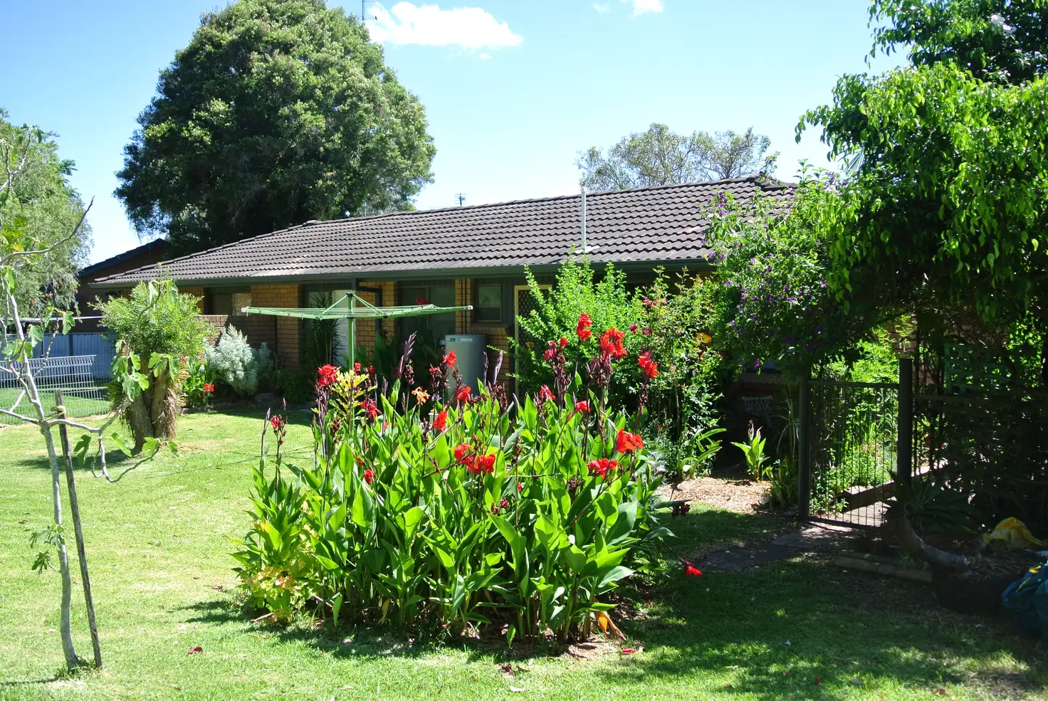 Main view of Homely house listing, 1/3 Bettina Close, Raymond Terrace NSW 2324