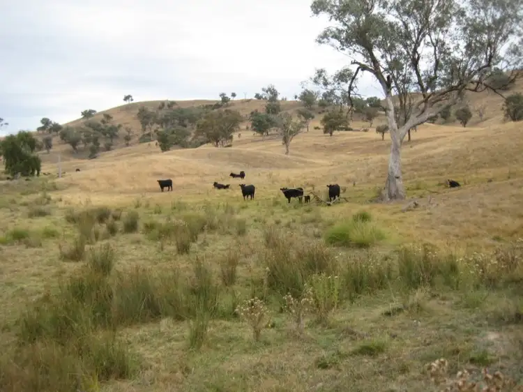 Seventh view of Homely land listing, Fifeshire Road, Goodhope, Yass NSW 2582