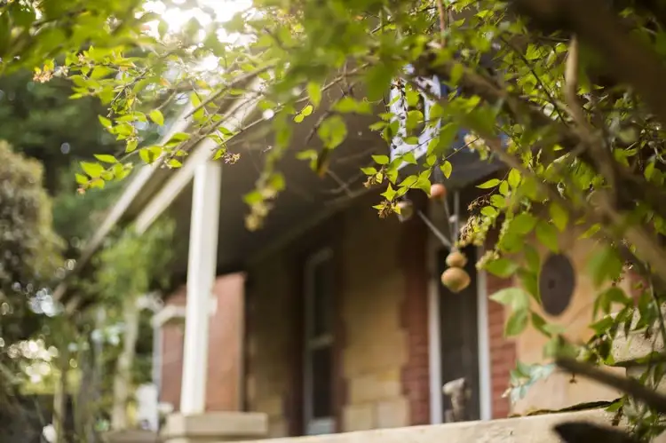 Seventh view of Homely house listing, 1551B Lobethal Road, Lenswood SA 5240