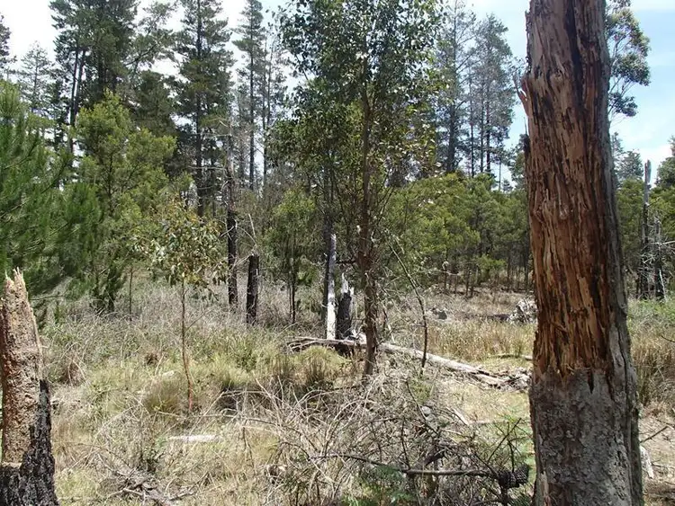 Third view of Homely land listing, LOT 163 Ironbark Road, Stanthorpe QLD 4380