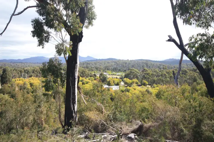 Seventh view of Homely house listing, 34 Upper Scamander Road, Scamander TAS 7215