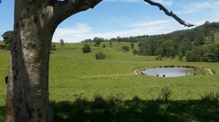 223 Hanleys Creek Road, Dungog NSW 2420
