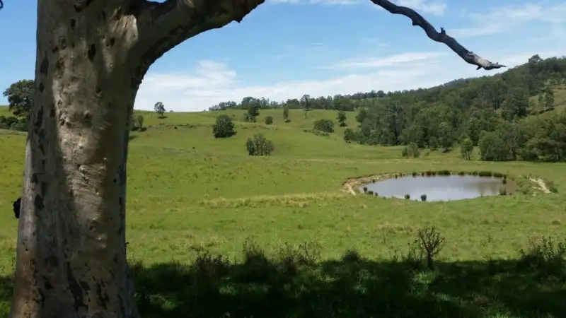 Main view of Homely land listing, 223 Hanleys Creek Road, Dungog NSW 2420