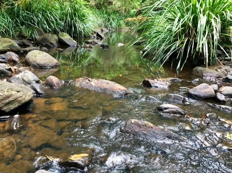 Third view of Homely rural property listing, LOT 21/1157 Stony Chute Road, Stony Chute NSW 2480