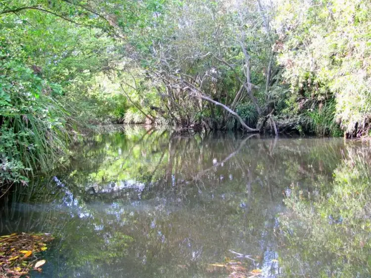 Fourth view of Homely rural property listing, Address available on request