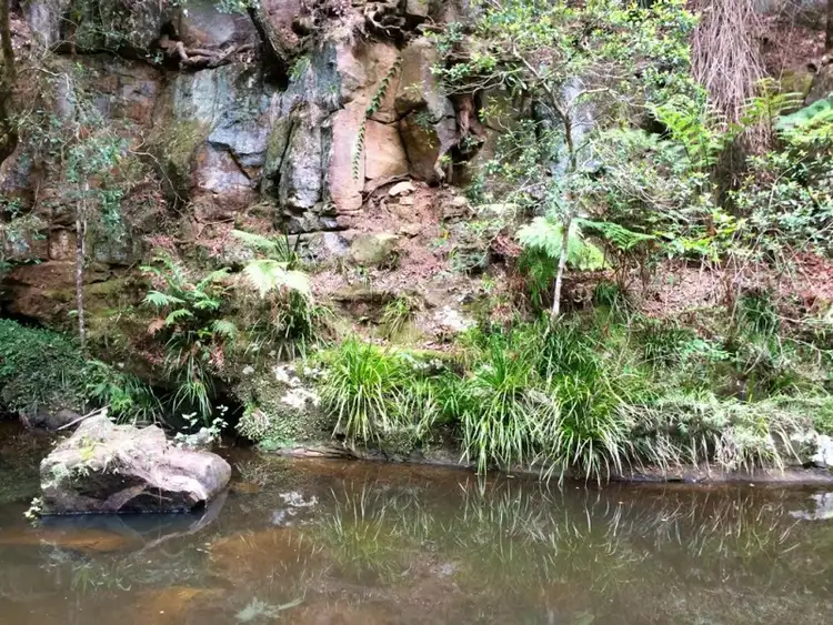 Seventh view of Homely rural property listing, LOT 21/1157 Stony Chute Road, Stony Chute NSW 2480
