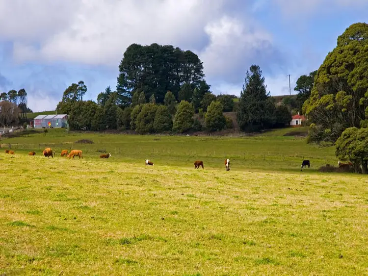 Second view of Homely land listing, 3750 Colac Lavers Hill Road, Ferguson VIC 3237
