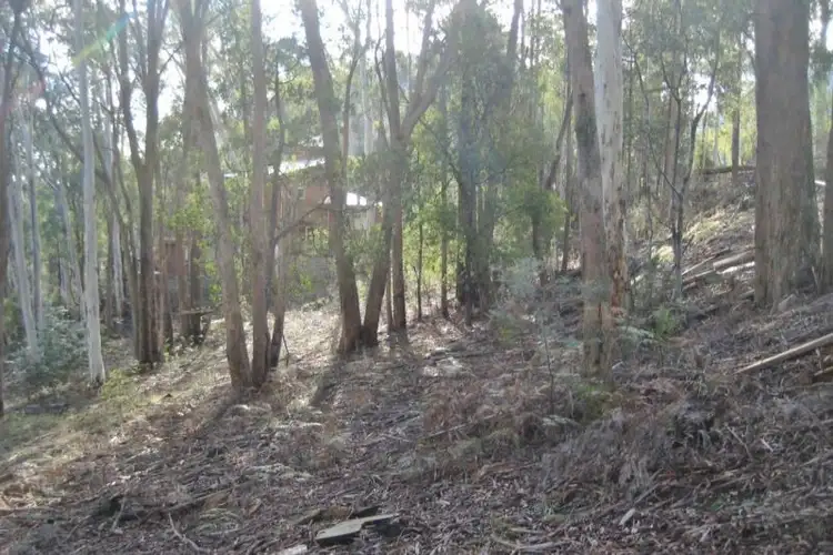 Fifth view of Homely land listing, 44 Christensen Street, Sawmill Settlement VIC 3723