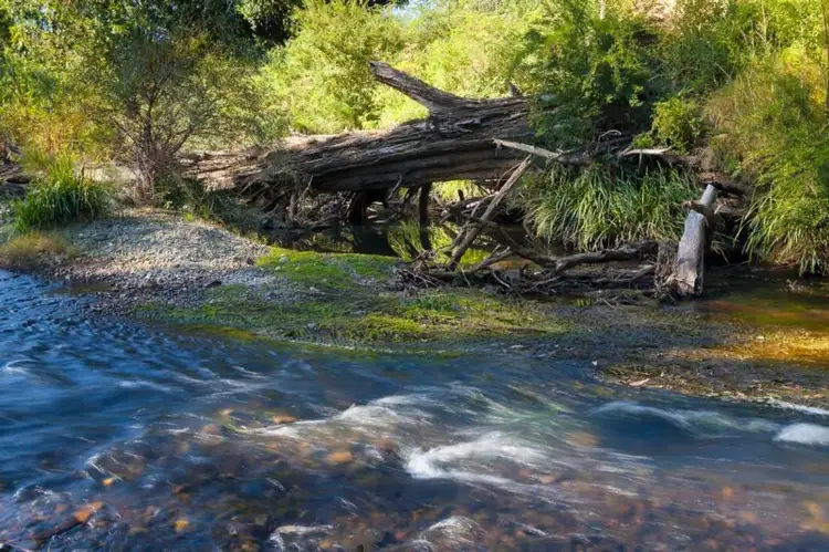 Third view of Homely house listing, 73 Fosterton Road, Dungog NSW 2420