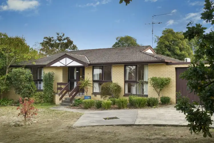 Main view of Homely house listing, 4/64 Shady Grove, Forest Hill VIC 3131