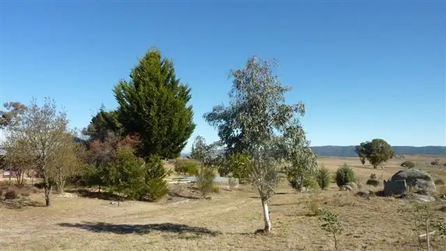 Fifth view of Homely rural property listing, 50 Wolfram Raod, Berridale NSW 2628