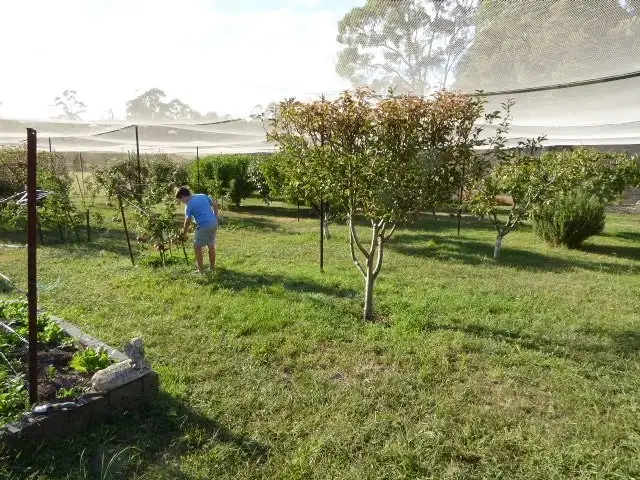 Seventh view of Homely rural property listing, 22 Sunning Hill Road, Windellama via, Goulburn NSW 2580