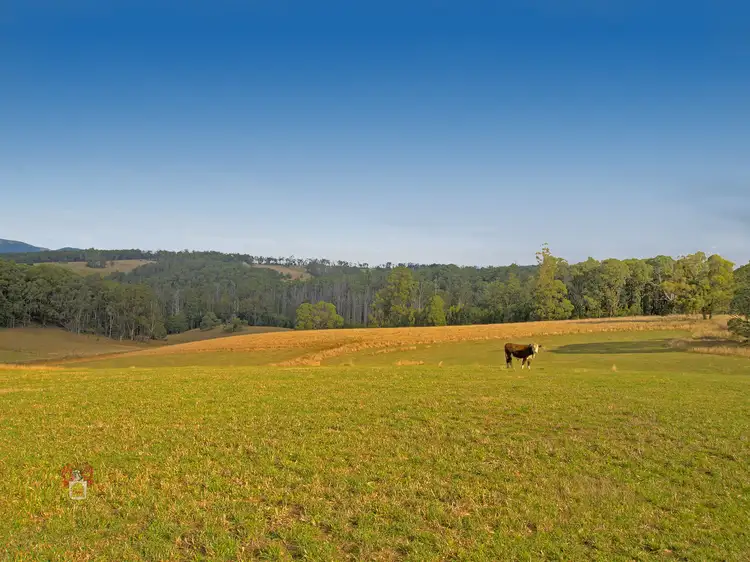 Third view of Homely house listing, 42E Murrays Road, Kinglake VIC 3763