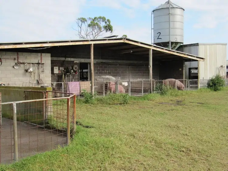 Seventh view of Homely rural property listing, 67 Carrs Creek Road, Longford VIC 3851