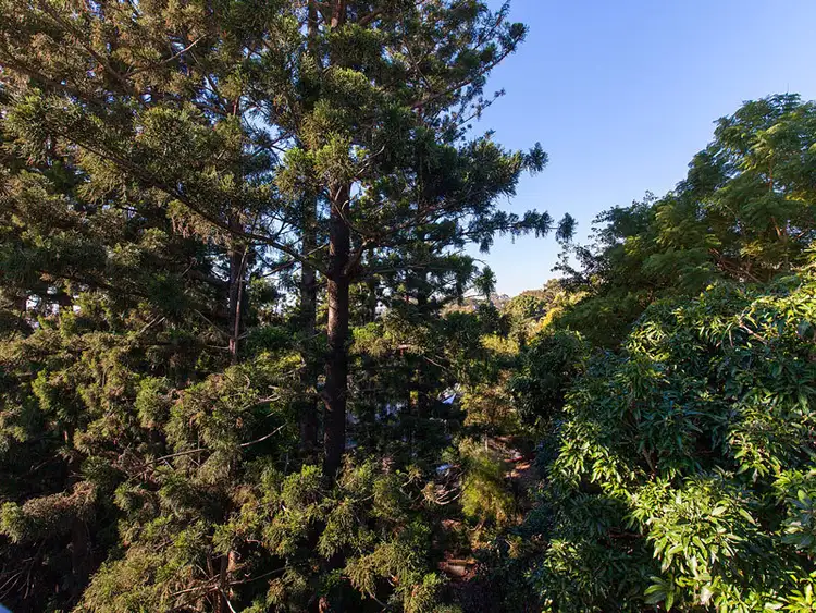 Sixth view of Homely apartment listing, 12/35 Windsor Rd, Red Hill QLD 4059