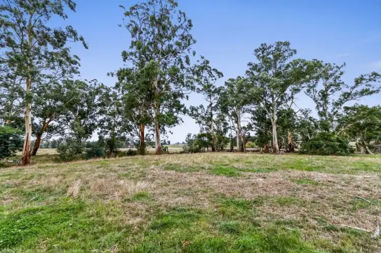 Third view of Homely rural property listing, 3635 Melba Highway, Glenburn VIC 3717