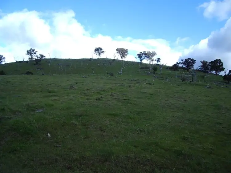 Fourth view of Homely rural property listing, Charlotte Spur Track, Swifts Creek VIC 3896