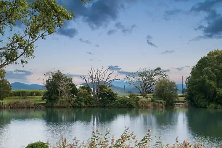 Fifth view of Homely house listing, 65 Mcleod Street, Condong NSW 2484