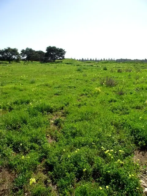 Second view of Homely land listing, LOT 10, 19 Troon Drive, Normanville SA 5204