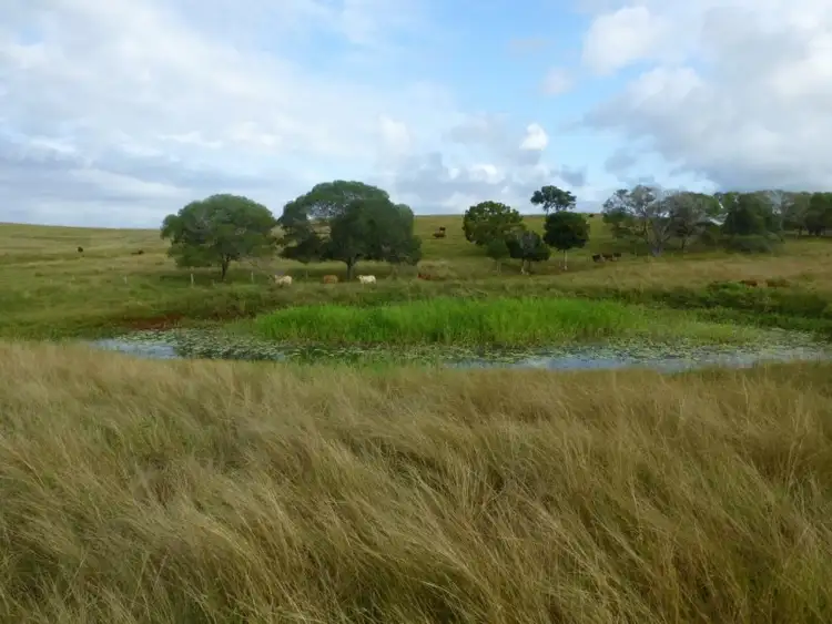 Fifth view of Homely rural property listing, 277 NORTH ISIS ROAD, North Isis QLD 4660