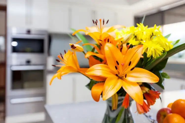 Sixth view of Homely house listing, 9 Trusley Way, Karrinyup WA 6018