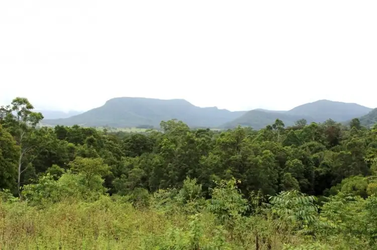 Second view of Homely rural property listing, Share 7/345 Tuntable Falls Road, Nimbin NSW 2480