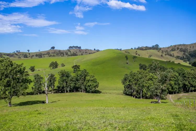 Seventh view of Homely rural property listing, 1943 Salisbury Road, Dungog NSW 2420