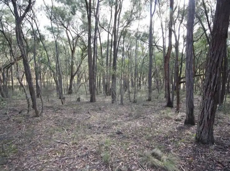 Fourth view of Homely rural property listing, 75 Rifle Butts Road, Beaufort VIC 3373