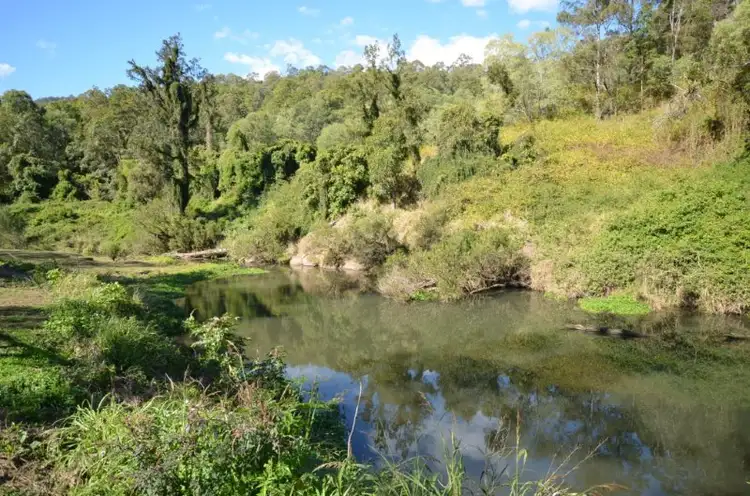 Fourth view of Homely rural property listing, 2450 Beaudesert-Nerang Road, Canungra QLD 4275
